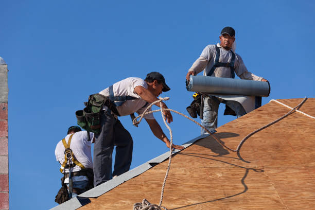Best Commercial Roofing Services  in Weedpatch, CA