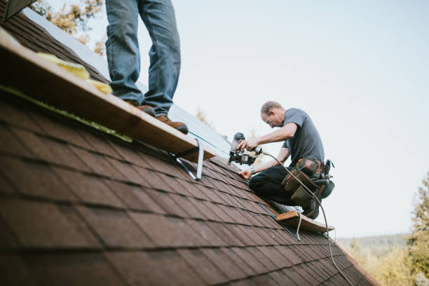 Quick and Trustworthy Emergency Roof Repair Services in Weedpatch, CA